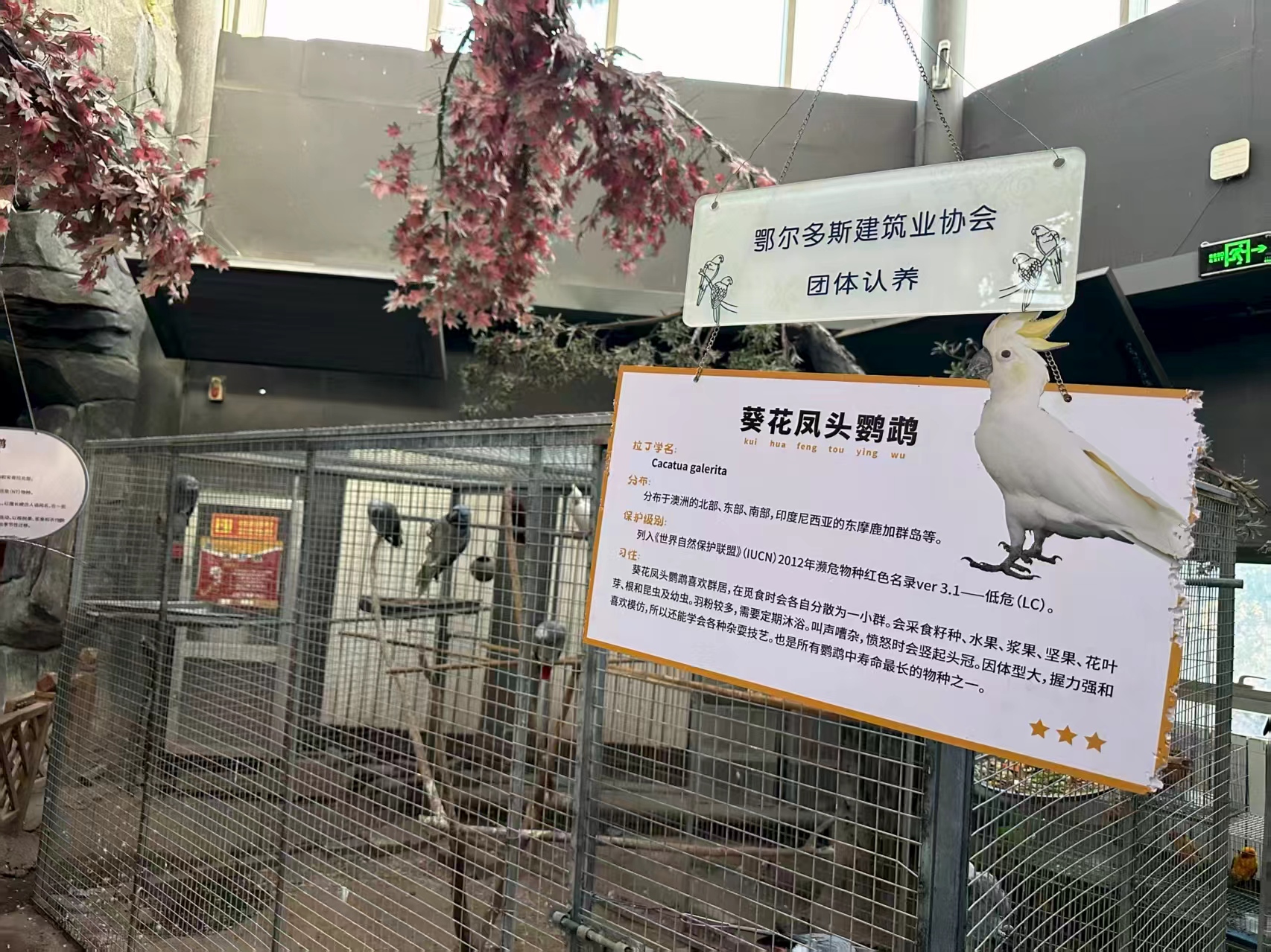 239c25d132955f82074e1ff1adf126c8