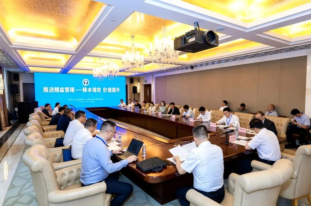 图片10